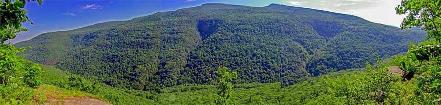 view of Kaaterskill Wild Forest from the Escarpment Trail
