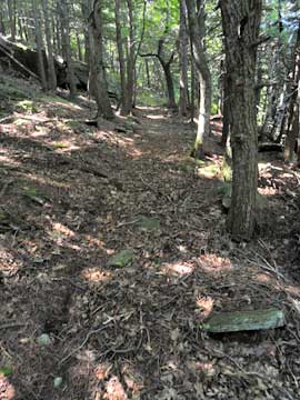 trail to North Mountain lookout #2