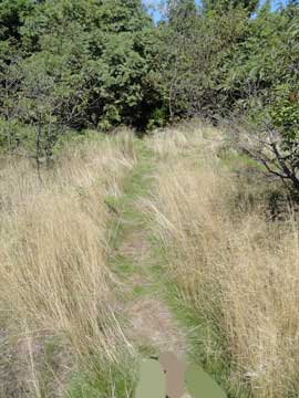 North Mountain lookout #2