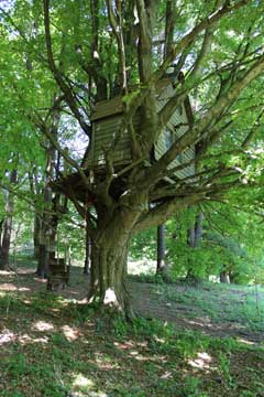 tree house at winter clove inn