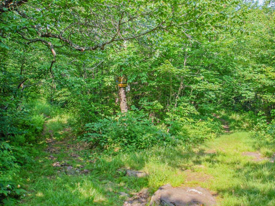 trail junction to the Balsam Lake Mountain Fire Tower