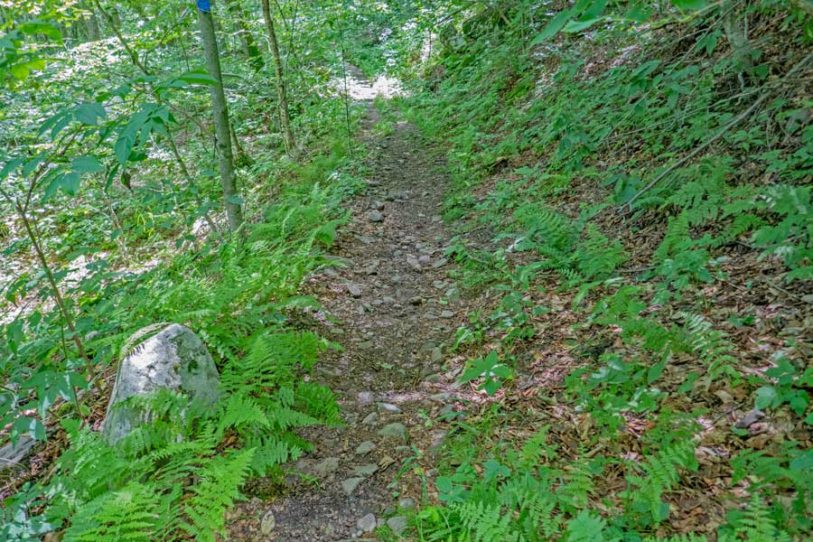 Dry Brook Ridge Trail heading down to the Balsam Lake Mountain Parking Area