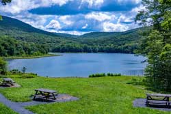 alder lake