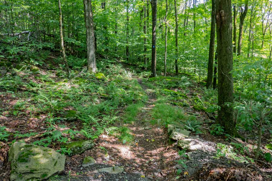 Dry Brook Ridge Trail from the Dry Brook Ridge Parking Area towards the Dry Brook Lean-to