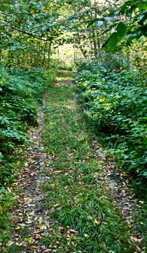 Graham Mountain