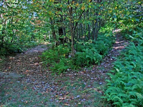 Graham Mountain