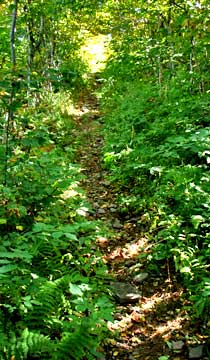 Graham Mountain