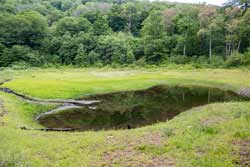 kelly hollow loop trail