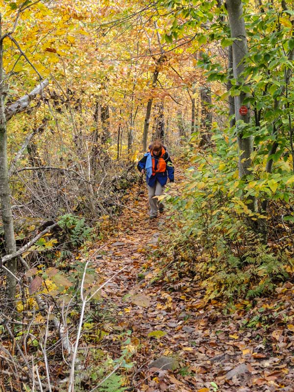 The Black Dome Ridge Trail past the third bridge