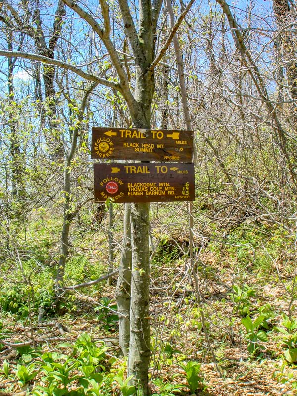 DEC sign in Lockwood gap and blackhead and black dome mountains