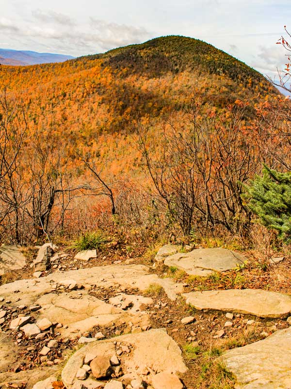 View of Black Dome Mountain from view point on the Blackhead Mountain Trail