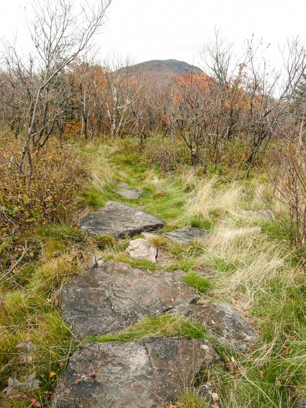 summit picture of Arizona Mountain with a view of Blackhead Mountain in the background