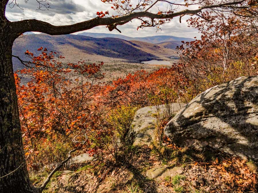 image of East Kill valley in the Catskill Mountains between Arizona Mountain and Dutcher's Notch