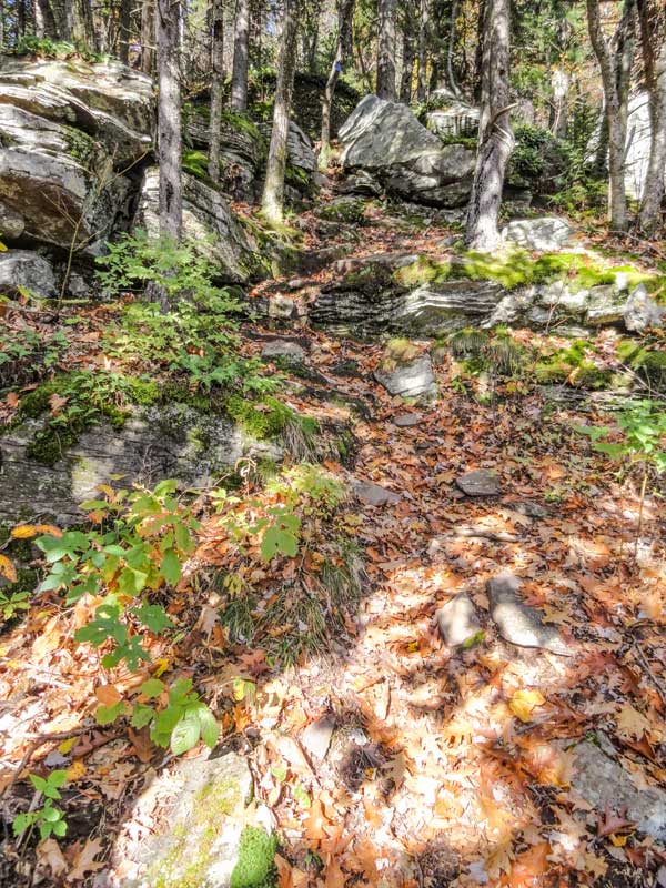 steep trail down into Dutcher's Notch from Arizona Mountain in the Catskill Mountains