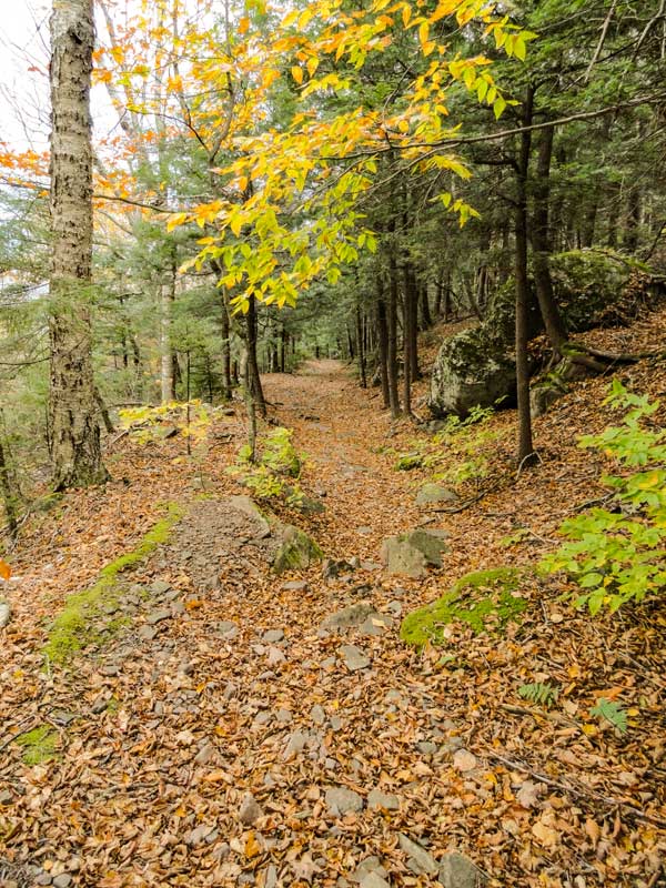 the beginning of the hiking trail from Dutcher's Notch down to Stork Nest Road