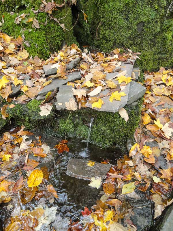 water spring between Dutcher's Notch and Stork Nest Road