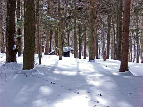 DEC Elm Ridge Lean-to