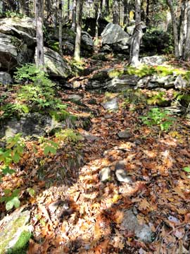 trail above dutchers notch