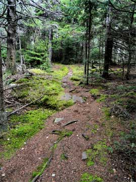 walk towards arizona mountain