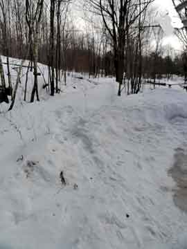 trail to camels hump