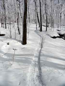 trail to camel's hump mountain