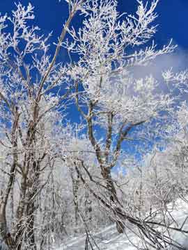 views of the sky from camel's hump
