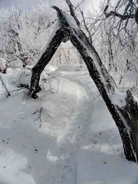 triangle arch on camel's hump Mountain