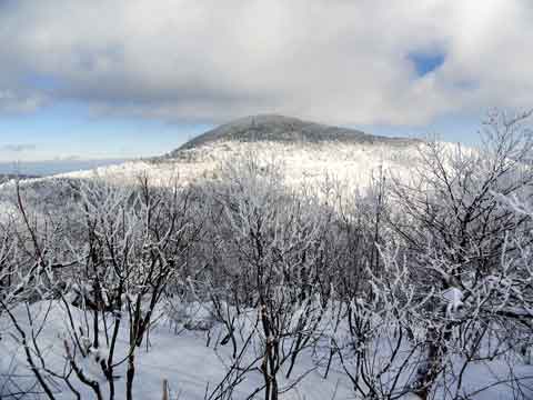 view of thomas cole mountain from summit of camels hump