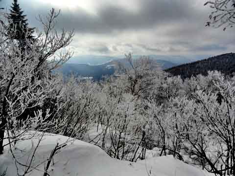 view of hunter mountain from base of thomas cole mountain