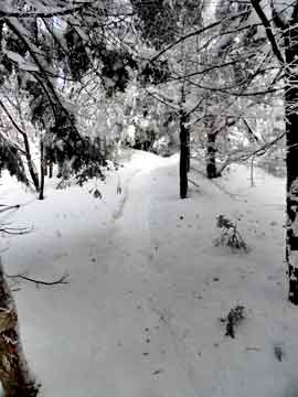 northwest side of thomas cole mountain