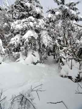 summit of thomas cole mountain