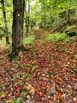 colgate carriage road to east kill falls and colgate lake