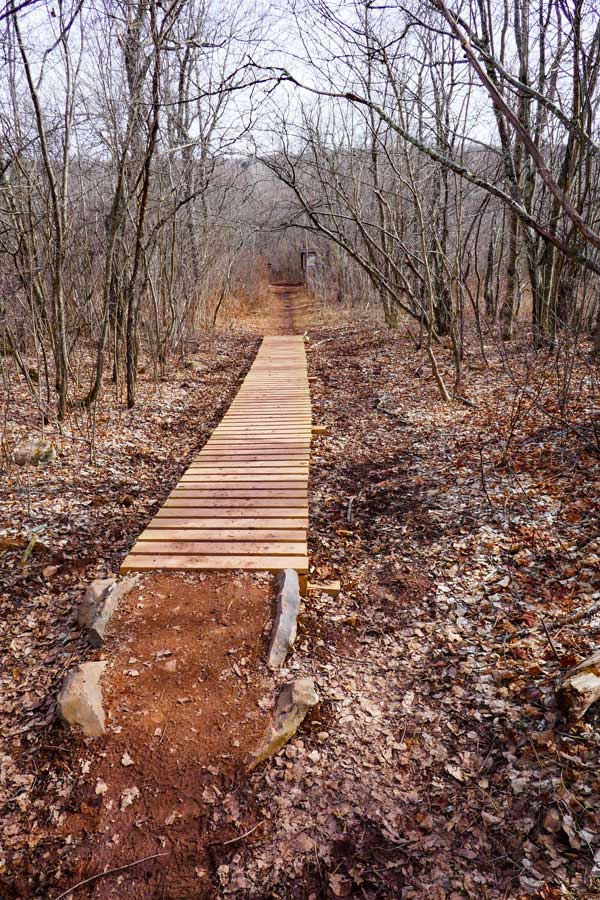 muddy section of the escarpment trail near Rt 23