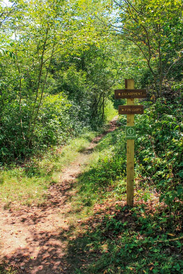beginning of the escarpment trail after registration box
