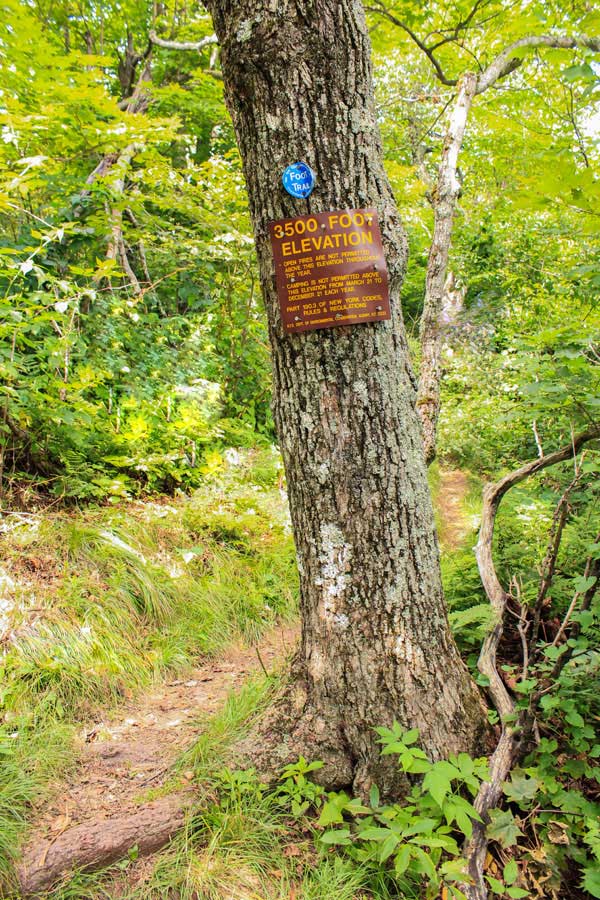 3500 foot elevation sign on Windham High Peak