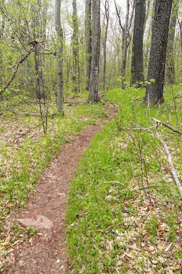 trail on the ridge of Windham High Peak