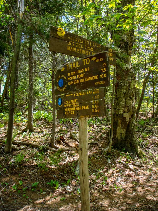 trail junction for the Escarpment Trail and Batavia Kill Trail