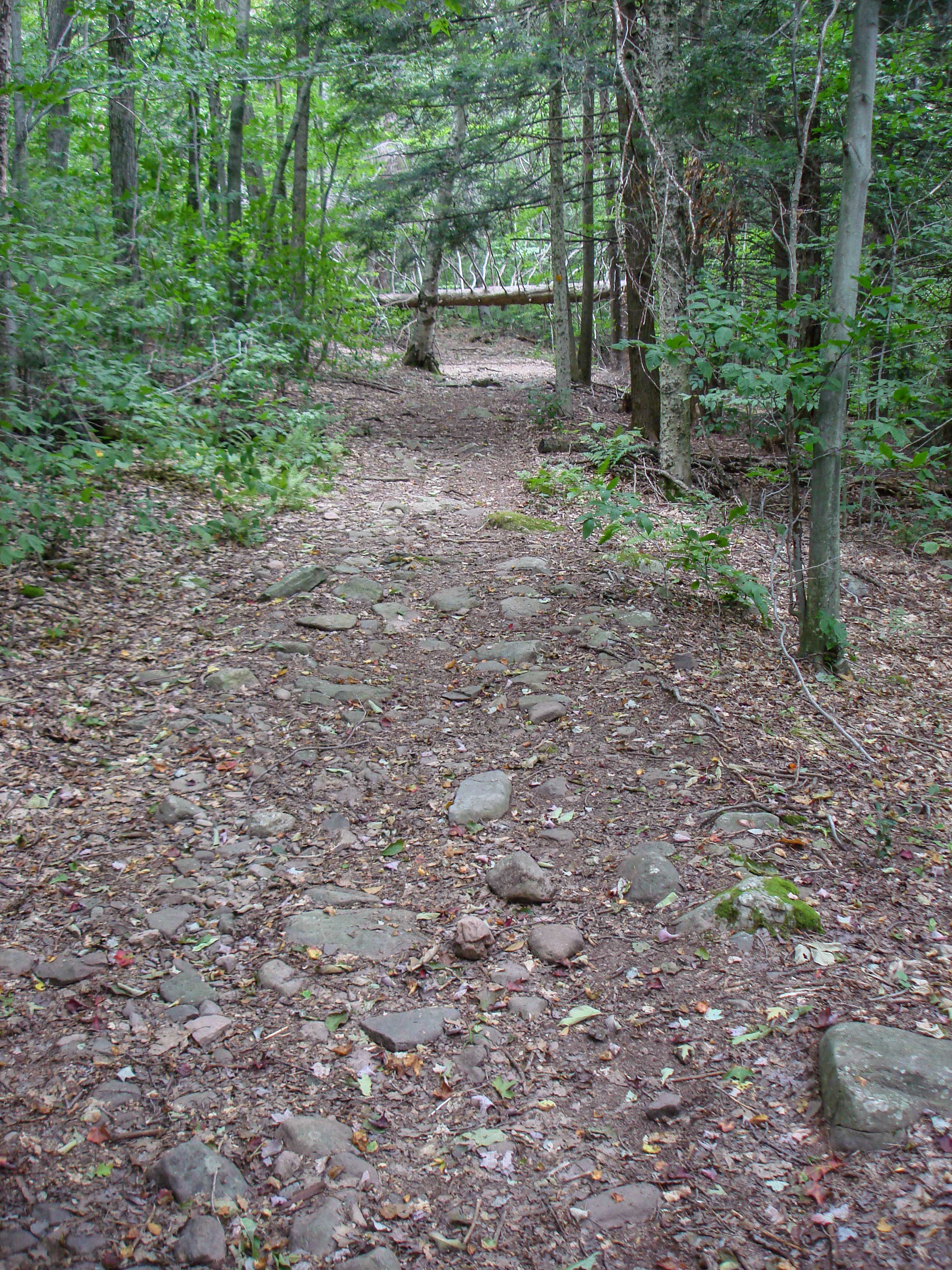 beginning of Colgate Lake Trail