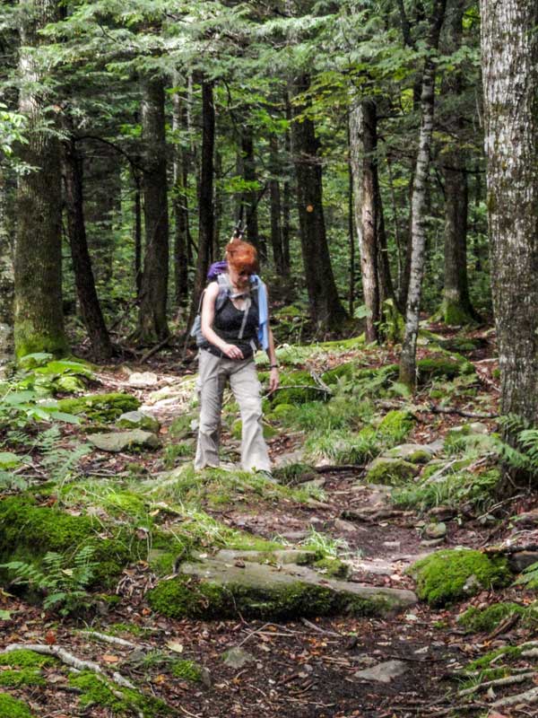 beginning of the forest section of Colgate Lake Trail