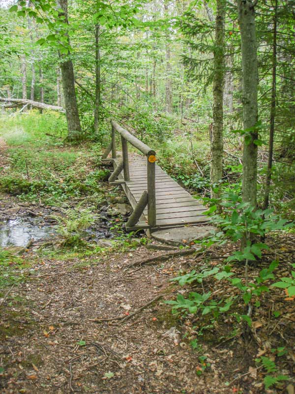 bridge #2 on the Colgate Lake Trail