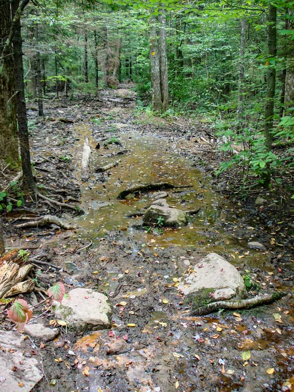 muddy section of the Colgate Lake Trail