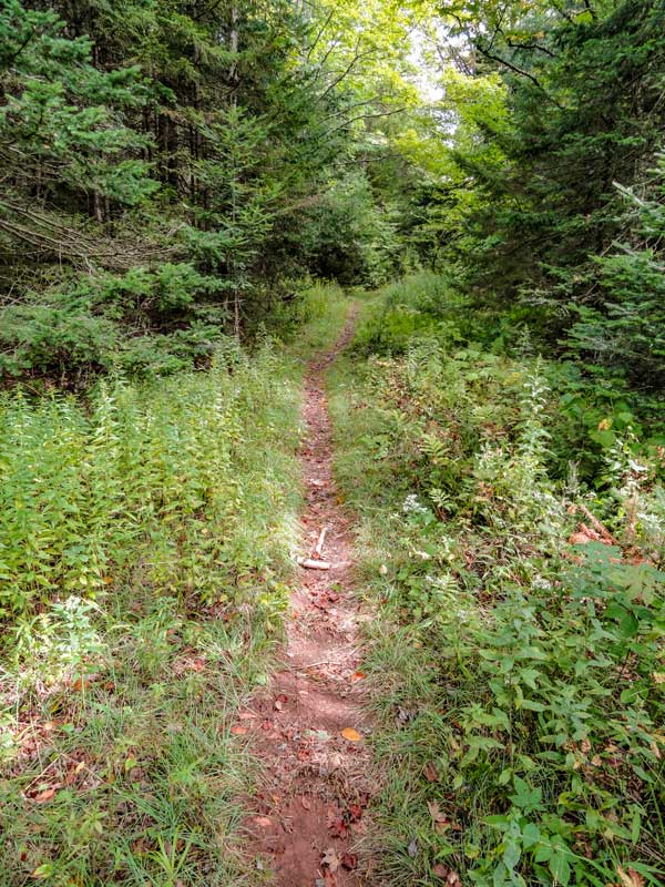 The Colgate Lake Trail around the Big Marsh
