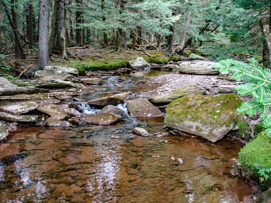 colgate lake to dutcher notch