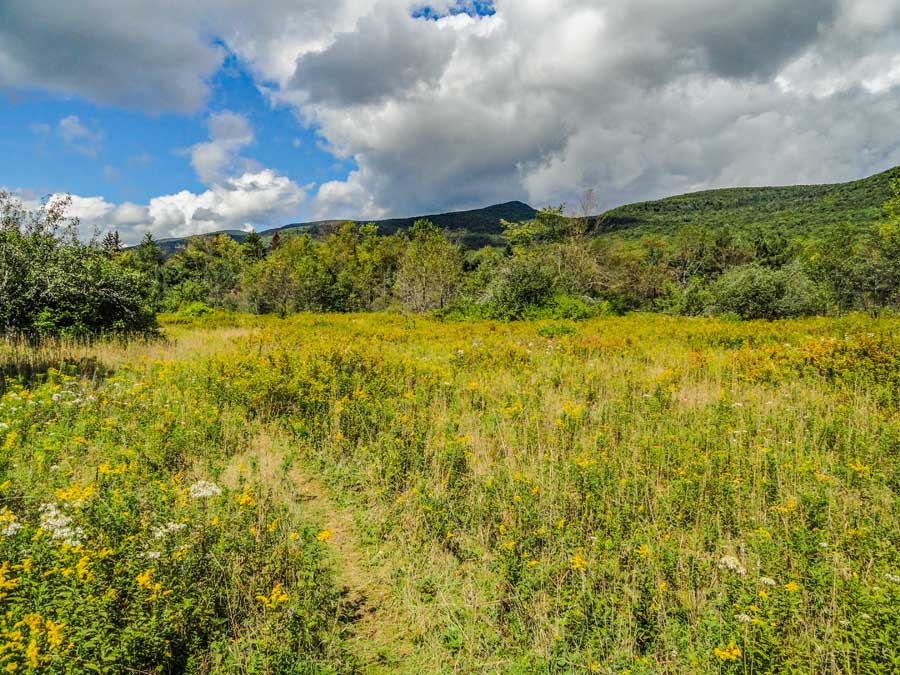 Big Field off the Colgate Lake Trail
