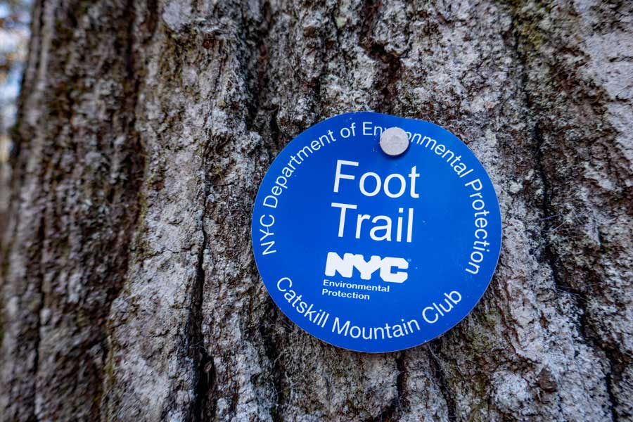 Blue trail markers on the Ashokan Quarry Trail  