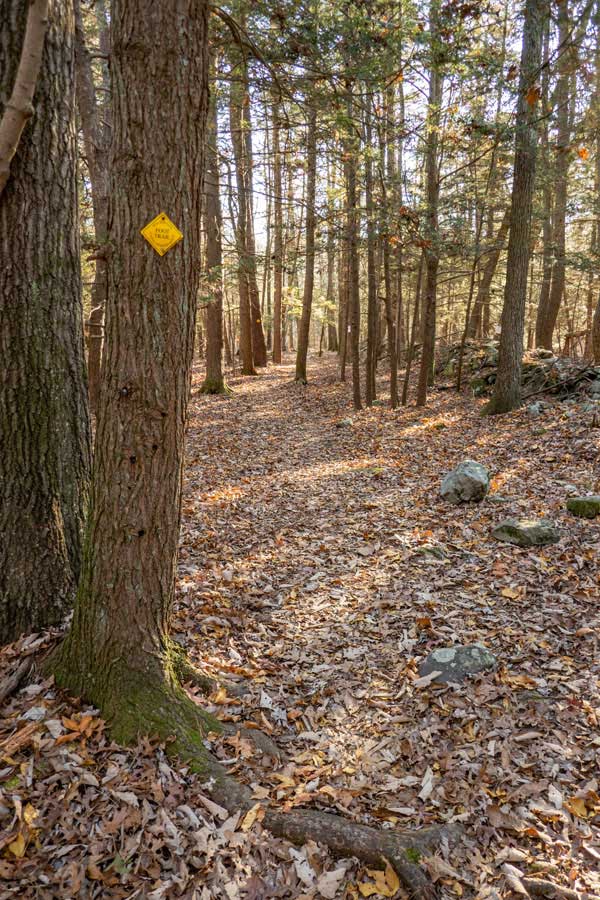 Israel Wittman Sanctuary