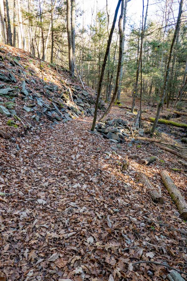 east side of Loop C on the Israel Wittman Sanctuary Trail