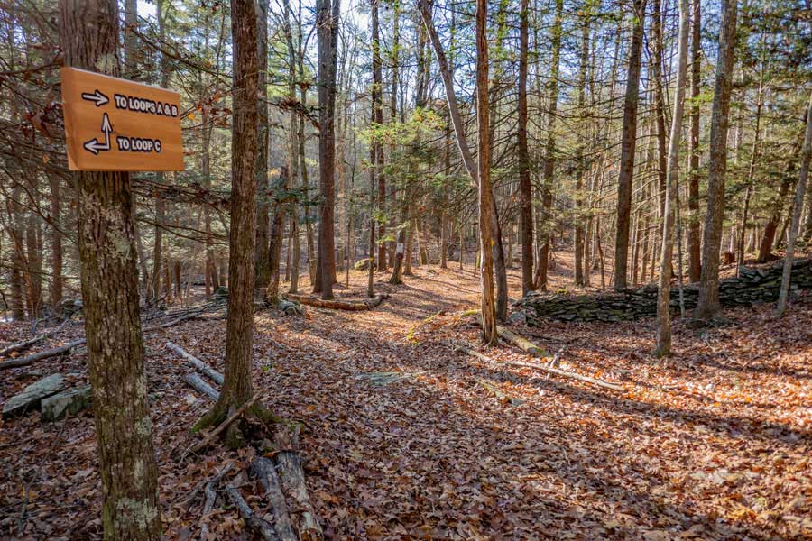 Trail Junction of Loop C and Main access to Loop A and Loop B in the Israel Wittman Sanctuary  
