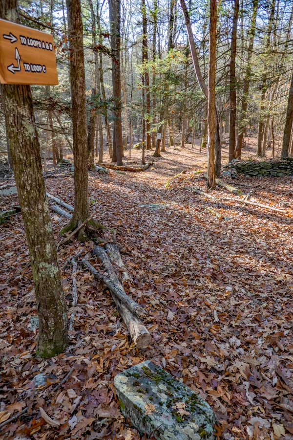 access trail to Loop A or B in Israel Wittman Sanctuary
