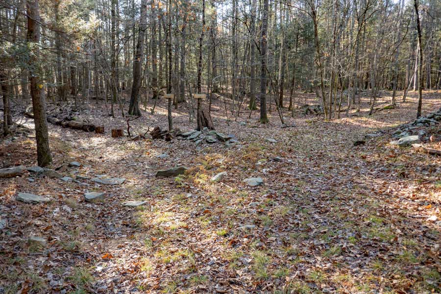 trail junction to Loop A or Loop B on the main access trail in the Israel Wittman Sanctuary  